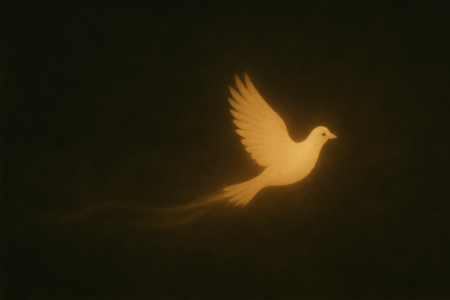 Social proof background